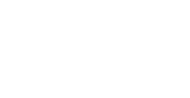 Falcon Logo